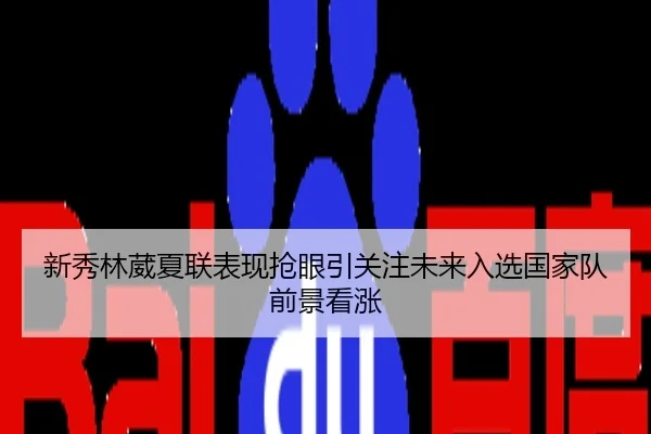 新秀林葳夏联表现抢眼引关注未来入选国家队前景看涨